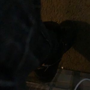 Meet your Posher, Reece